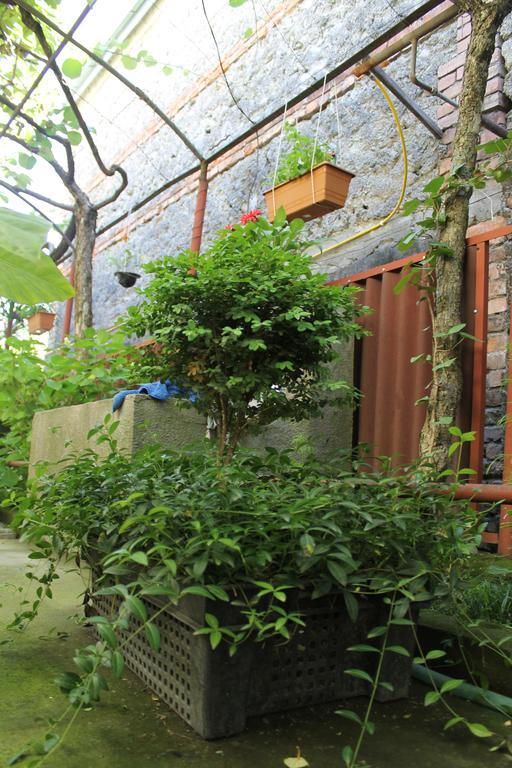 The Kiwi House Hotel Lagodekhi Ngoại thất bức ảnh