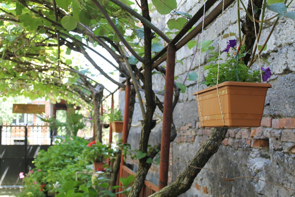 The Kiwi House Hotel Lagodekhi Ngoại thất bức ảnh