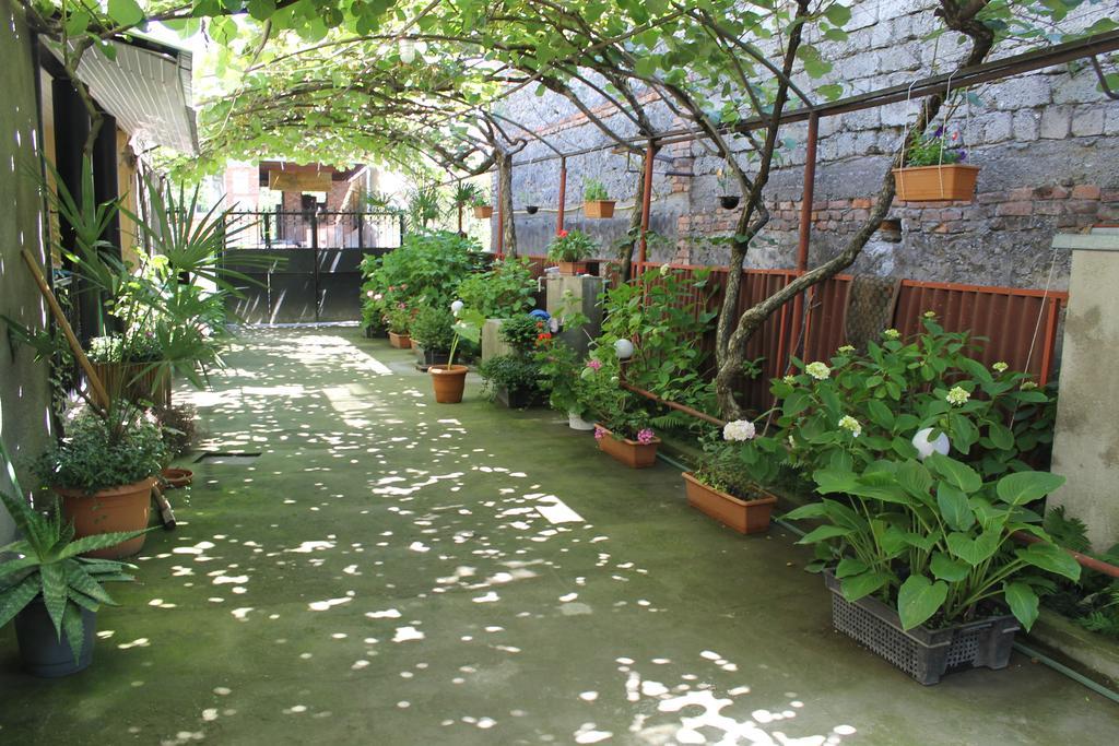 The Kiwi House Hotel Lagodekhi Ngoại thất bức ảnh