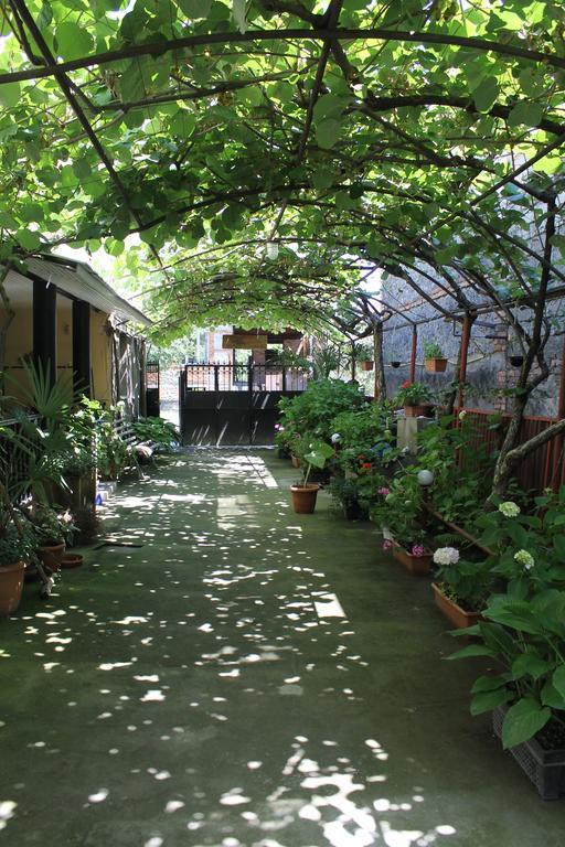 The Kiwi House Hotel Lagodekhi Ngoại thất bức ảnh