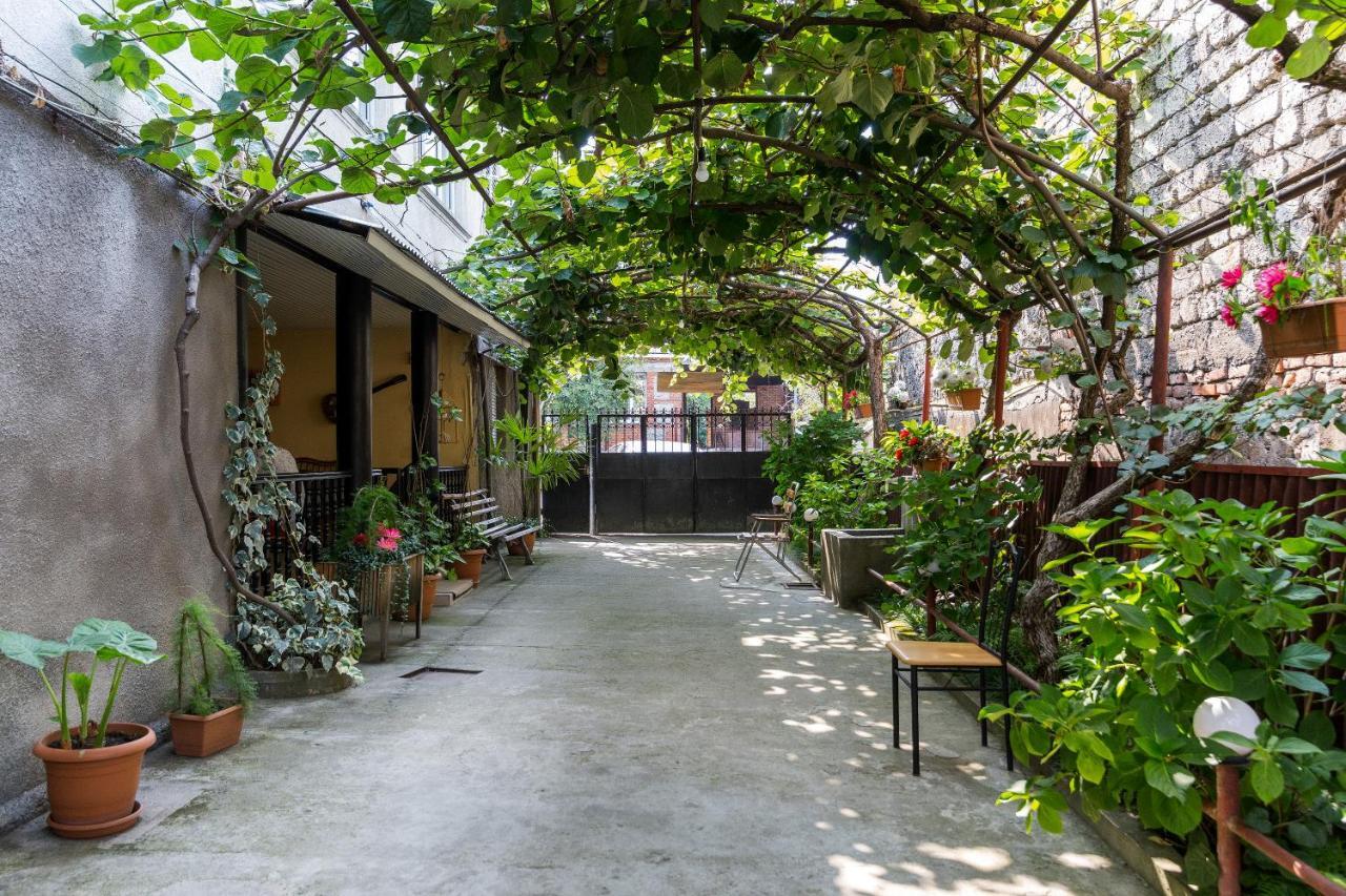 The Kiwi House Hotel Lagodekhi Ngoại thất bức ảnh